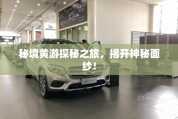 秘境黄游探秘之旅，揭开神秘面纱！