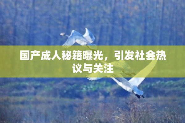 国产成人秘籍曝光，引发社会热议与关注