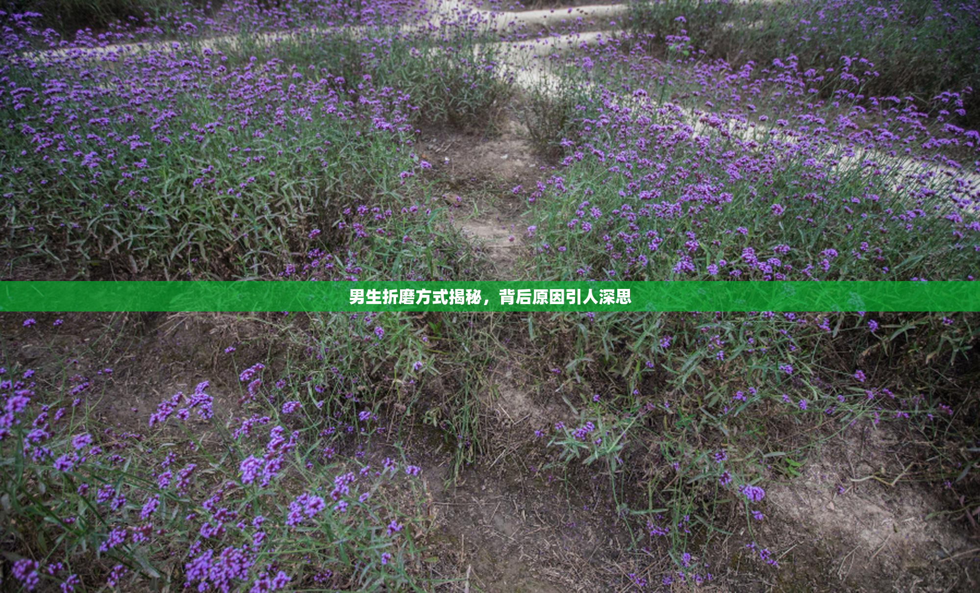 男生折磨方式揭秘，背后原因引人深思