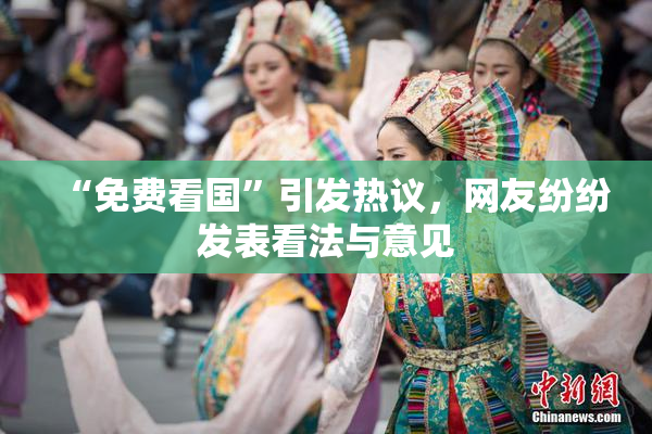 “免费看国”引发热议，网友纷纷发表看法与意见