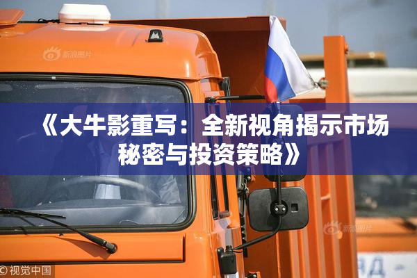 《大牛影重写：全新视角揭示市场秘密与投资策略》