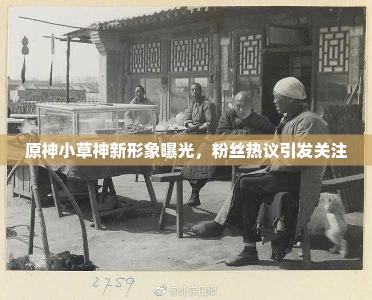 原神小草神新形象曝光，粉丝热议引发关注