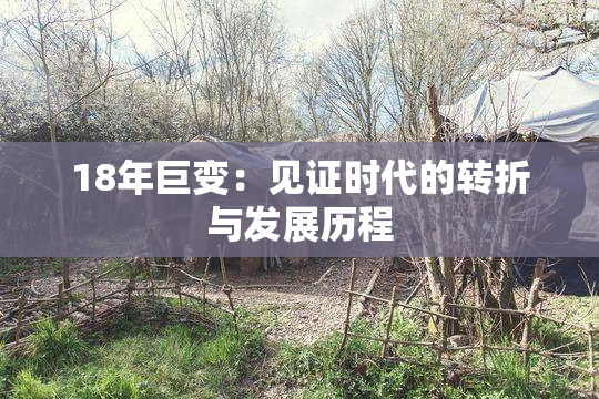 18年巨变：见证时代的转折与发展历程