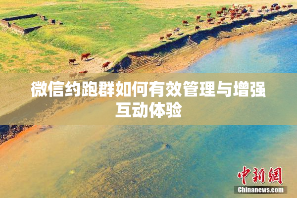 微信约跑群如何有效管理与增强互动体验