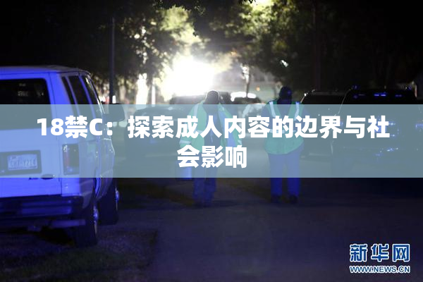 18禁C：探索成人内容的边界与社会影响