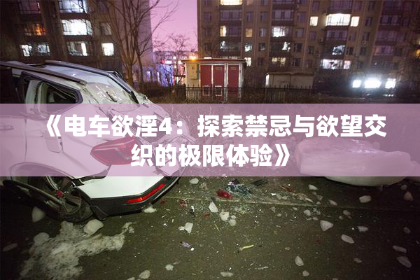 《电车欲淫4：探索禁忌与欲望交织的极限体验》