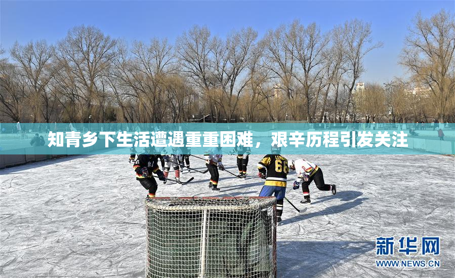 知青乡下生活遭遇重重困难，艰辛历程引发关注