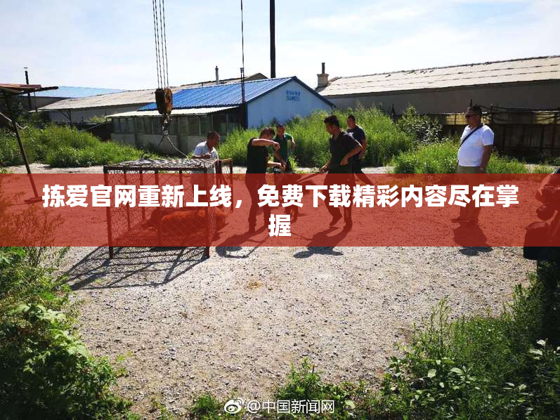 拣爱官网重新上线，免费下载精彩内容尽在掌握