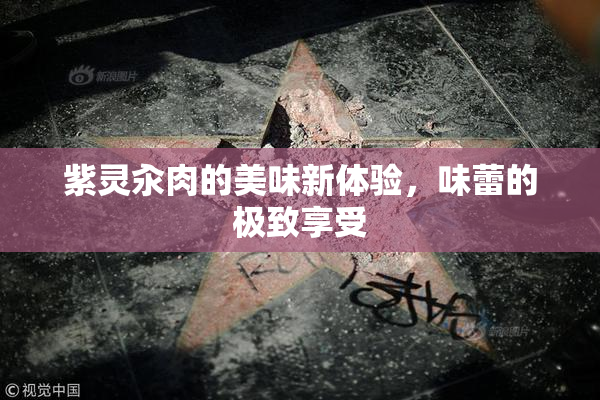 紫灵汆肉的美味新体验，味蕾的极致享受