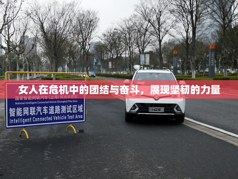 女人在危机中的团结与奋斗，展现坚韧的力量