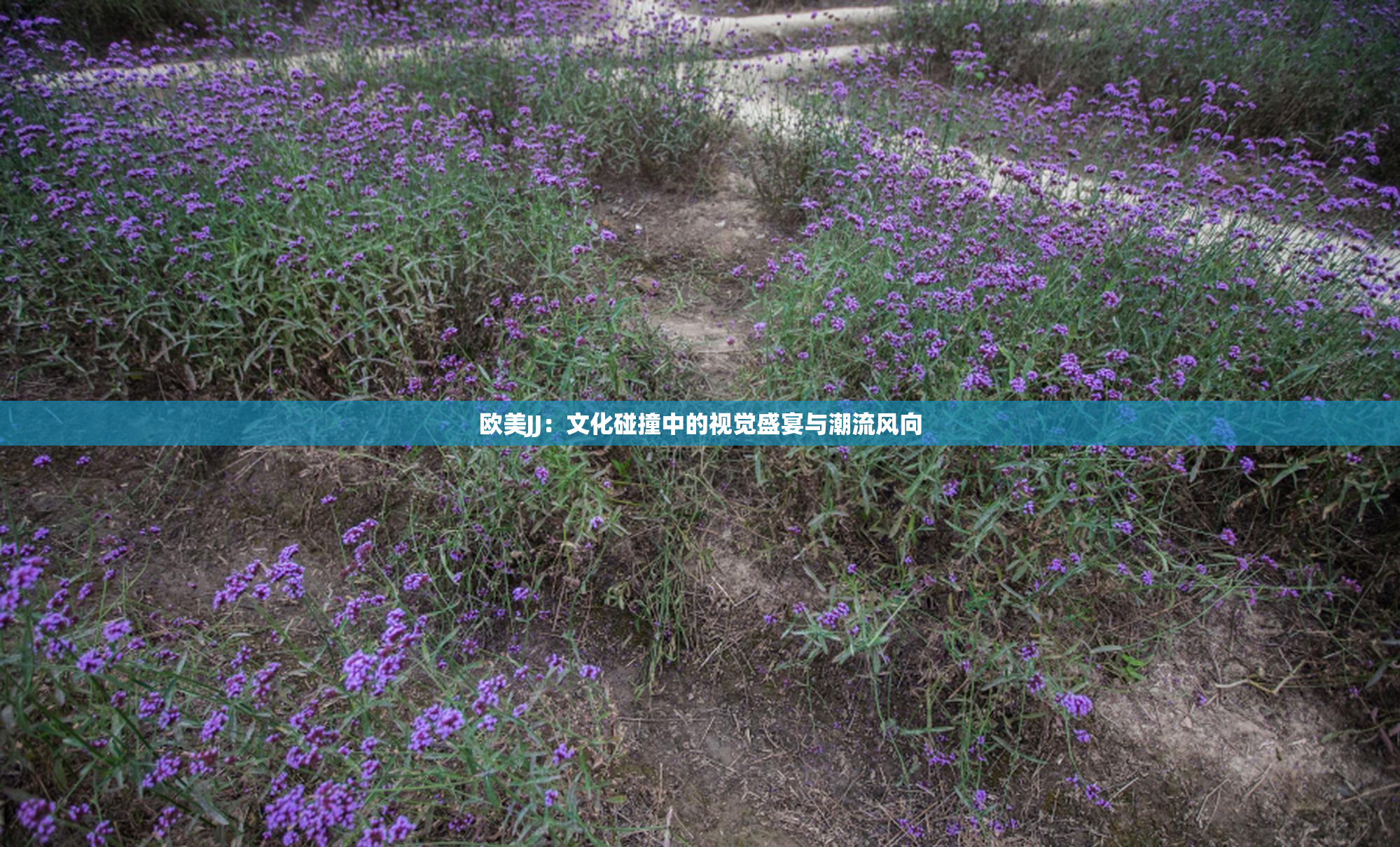 欧美JJ：文化碰撞中的视觉盛宴与潮流风向