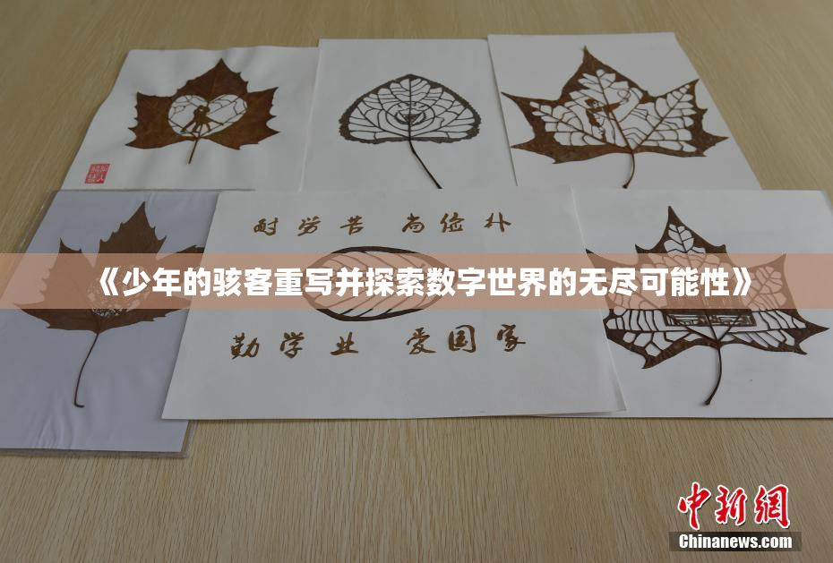 《少年的骇客重写并探索数字世界的无尽可能性》