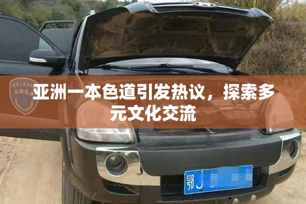 亚洲一本色道引发热议，探索多元文化交流