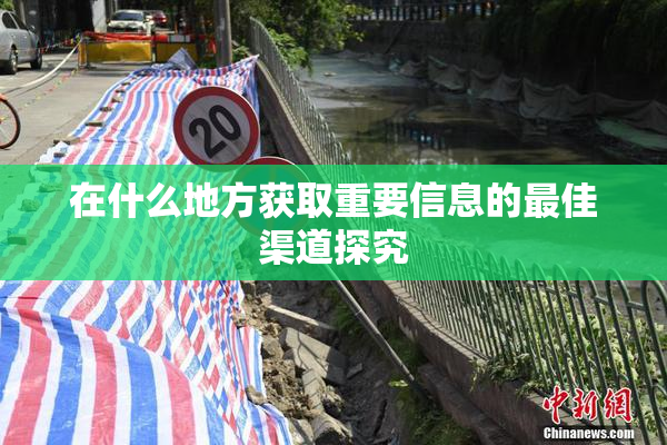在什么地方获取重要信息的最佳渠道探究