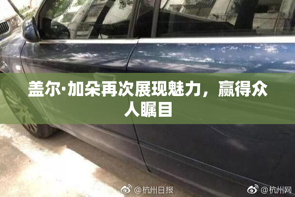 盖尔·加朵再次展现魅力，赢得众人瞩目