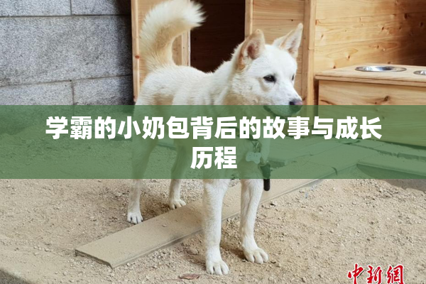 学霸的小奶包背后的故事与成长历程