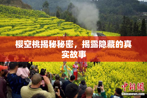 樱空桃揭秘秘密，揭露隐藏的真实故事