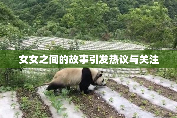 女女之间的故事引发热议与关注