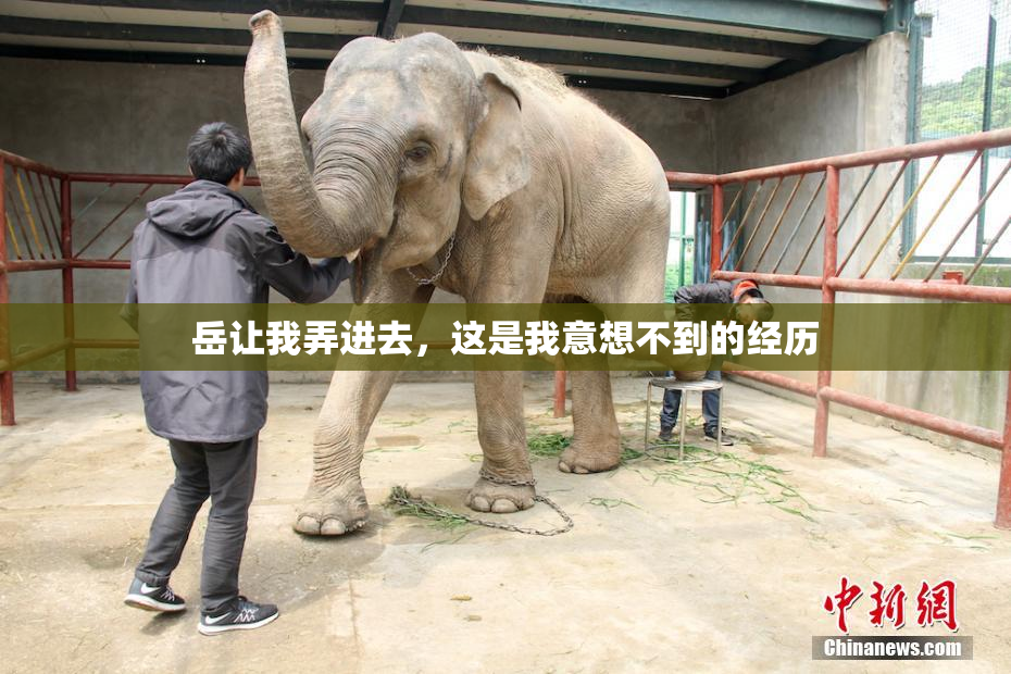 岳让我弄进去，这是我意想不到的经历