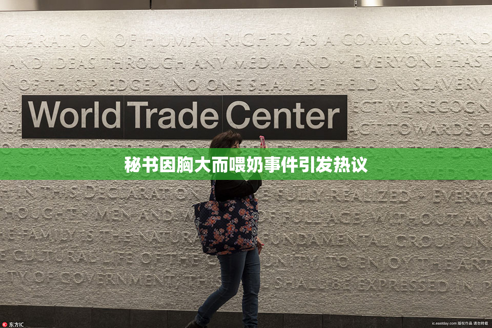 秘书因胸大而喂奶事件引发热议