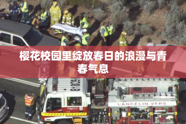 樱花校园里绽放春日的浪漫与青春气息
