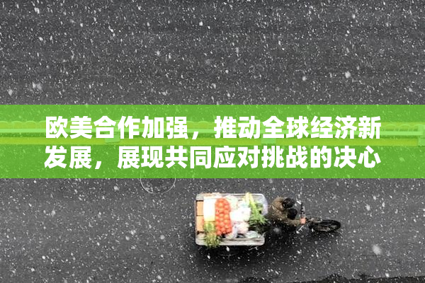 欧美合作加强，推动全球经济新发展，展现共同应对挑战的决心