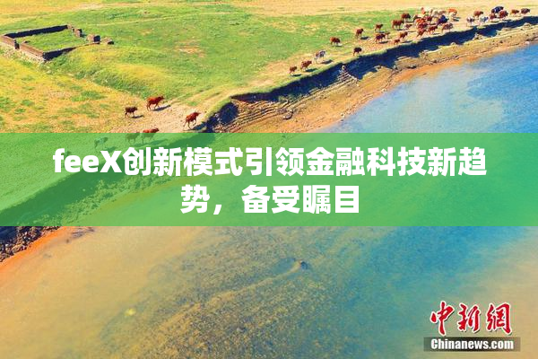 feeX创新模式引领金融科技新趋势，备受瞩目