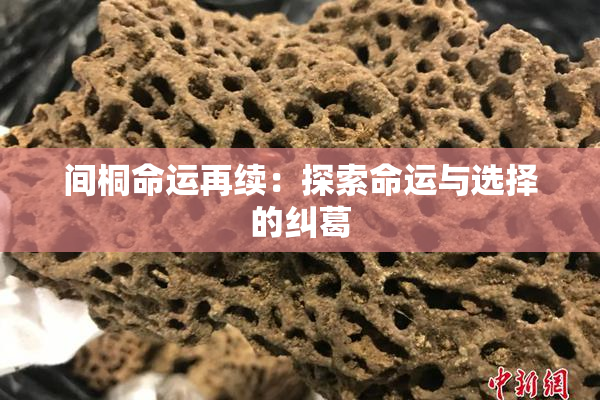 间桐命运再续：探索命运与选择的纠葛