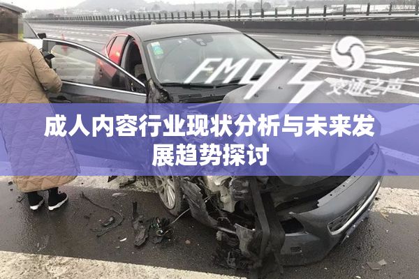 成人内容行业现状分析与未来发展趋势探讨