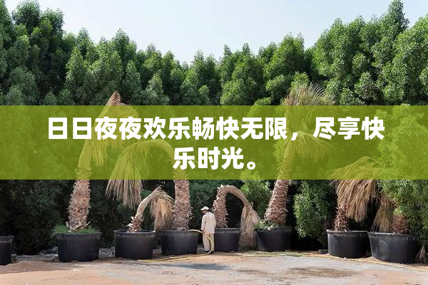 日日夜夜欢乐畅快无限，尽享快乐时光。