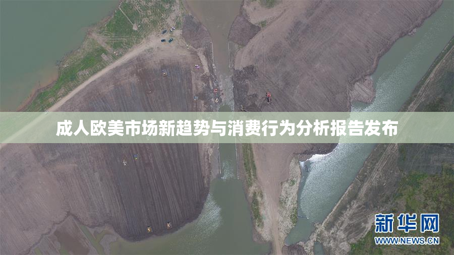 成人欧美市场新趋势与消费行为分析报告发布