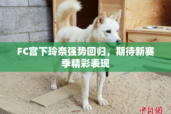 FC宫下玲奈强势回归，期待新赛季精彩表现