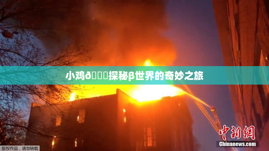 小鸡🐔探秘β世界的奇妙之旅