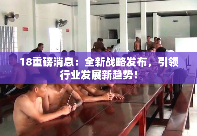 18重磅消息：全新战略发布，引领行业发展新趋势！
