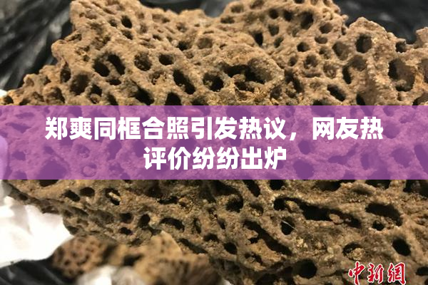 郑爽同框合照引发热议，网友热评价纷纷出炉