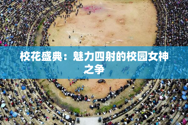 校花盛典：魅力四射的校园女神之争