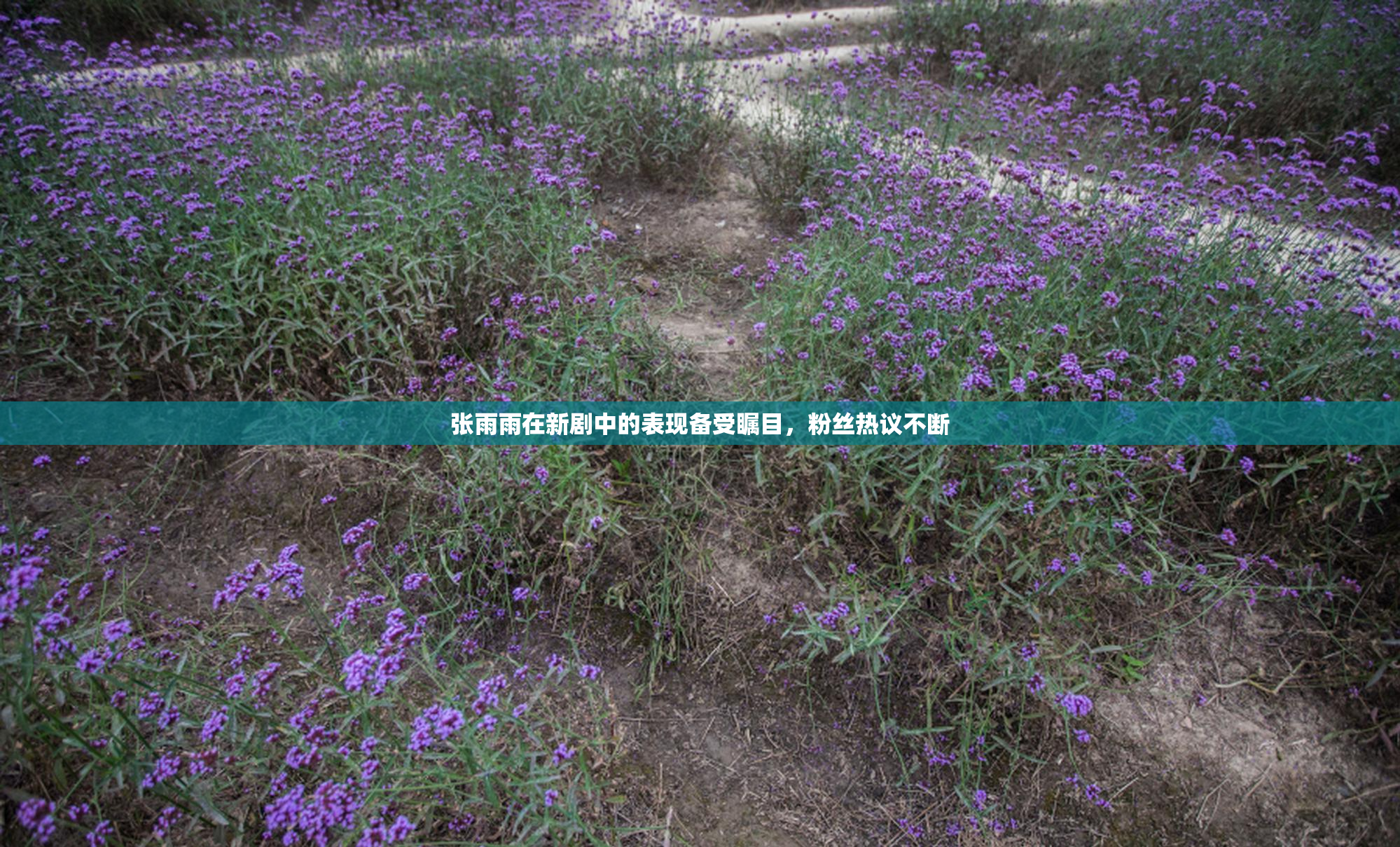 张雨雨在新剧中的表现备受瞩目，粉丝热议不断