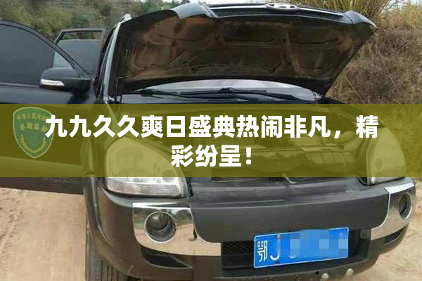 九九久久爽日盛典热闹非凡，精彩纷呈！