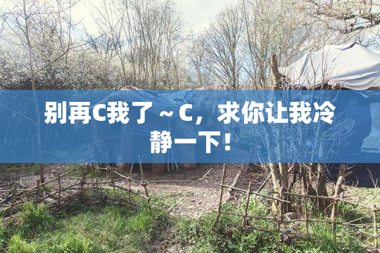 别再C我了～C，求你让我冷静一下！