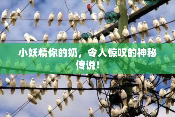 小妖精你的奶，令人惊叹的神秘传说！