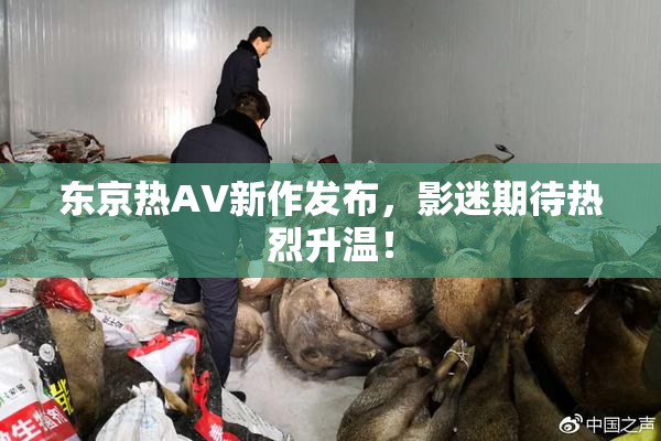 东京热AV新作发布，影迷期待热烈升温！