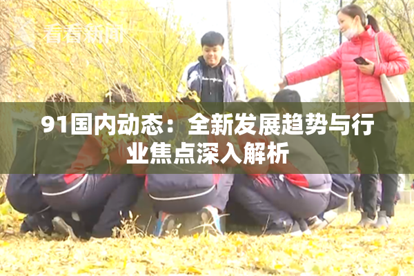 91国内动态：全新发展趋势与行业焦点深入解析