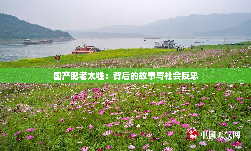 国产肥老太牲：背后的故事与社会反思