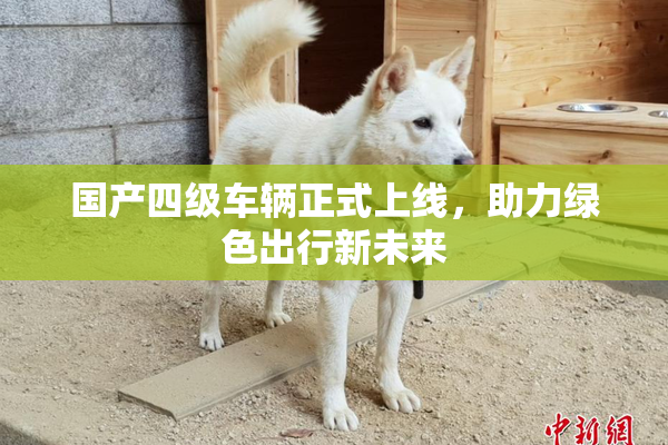 国产四级车辆正式上线，助力绿色出行新未来