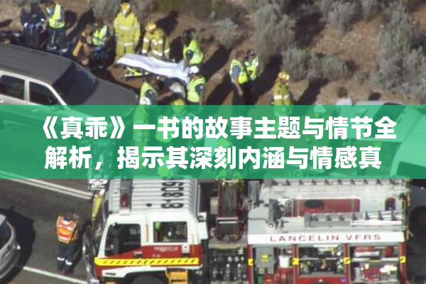 《真乖》一书的故事主题与情节全解析，揭示其深刻内涵与情感真谛。