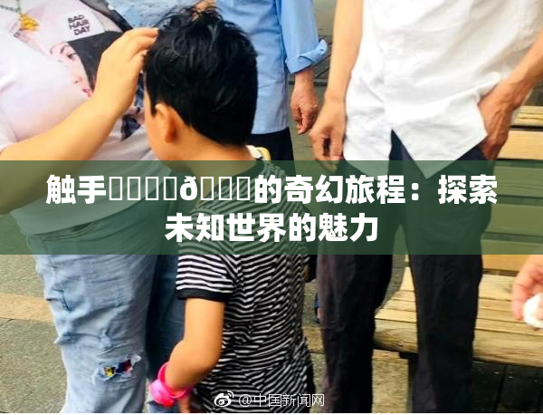 触手❌‌❌‌🔞的奇幻旅程：探索未知世界的魅力