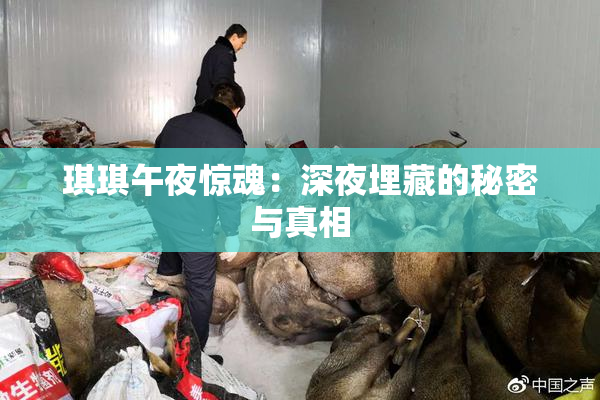 琪琪午夜惊魂：深夜埋藏的秘密与真相