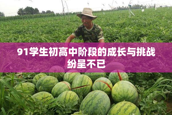 91学生初高中阶段的成长与挑战纷呈不已