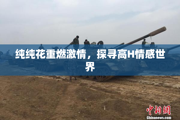 纯纯花重燃激情，探寻高H情感世界