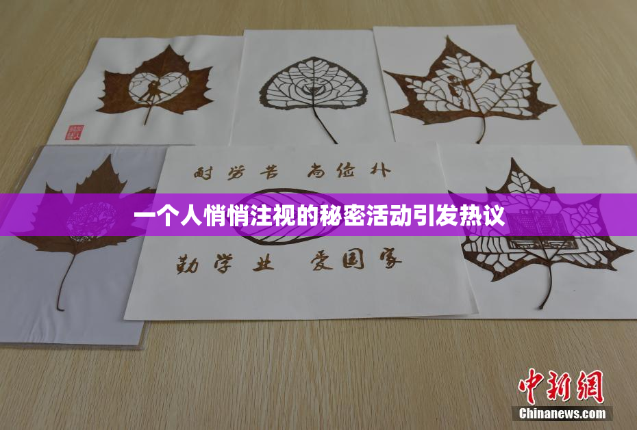 一个人悄悄注视的秘密活动引发热议